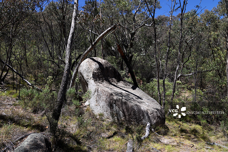 澳大利亚首都地区堪培拉蒂德宾比拉自然保护区直布罗陀峰步道附近的巨大花岗岩石图片素材