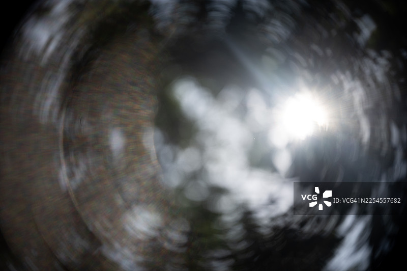 阳光透过生机勃勃的绿色树冠，带有柔和的模糊效果。图片素材