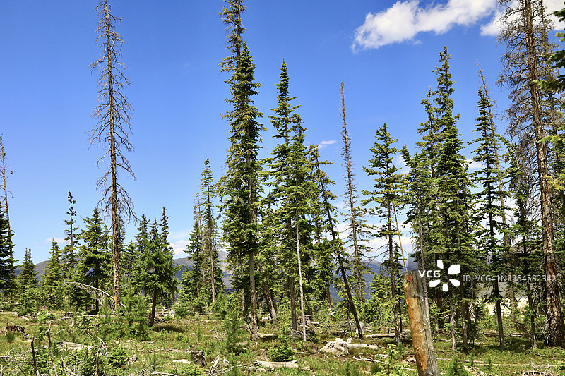 科罗拉多州乡村旷野图片素材
