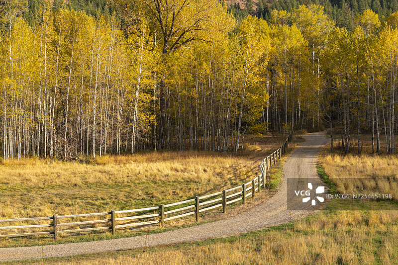 秋日蜿蜒的乡村小路图片素材