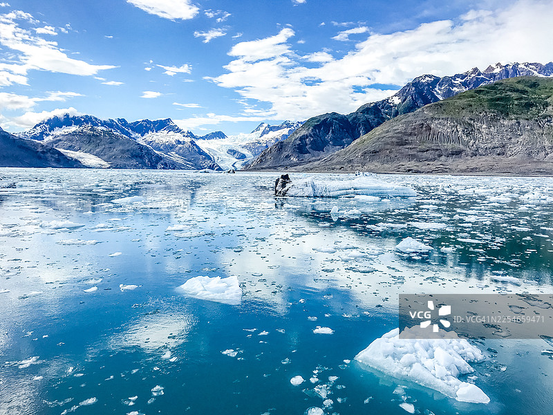 威廉王子湾的冰川冰图片素材