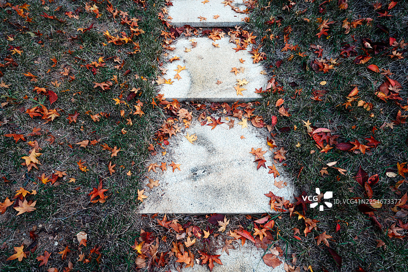 铺满落叶的小路图片素材