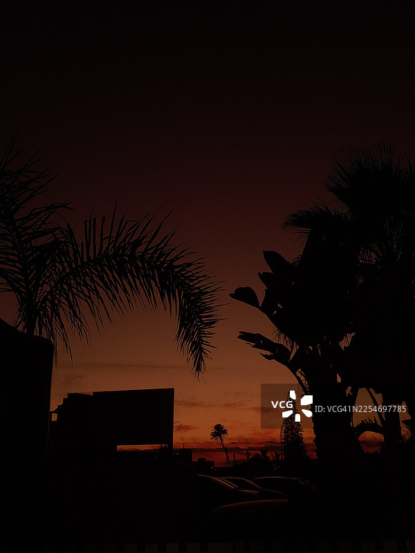 戏剧性日落天空下的棕榈树和建筑物的剪影图片素材