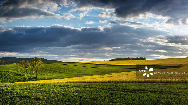 波兰，在戏剧性的云彩天空下，充满活力的绿色和黄色农田，展现了自然和农业之美图片素材