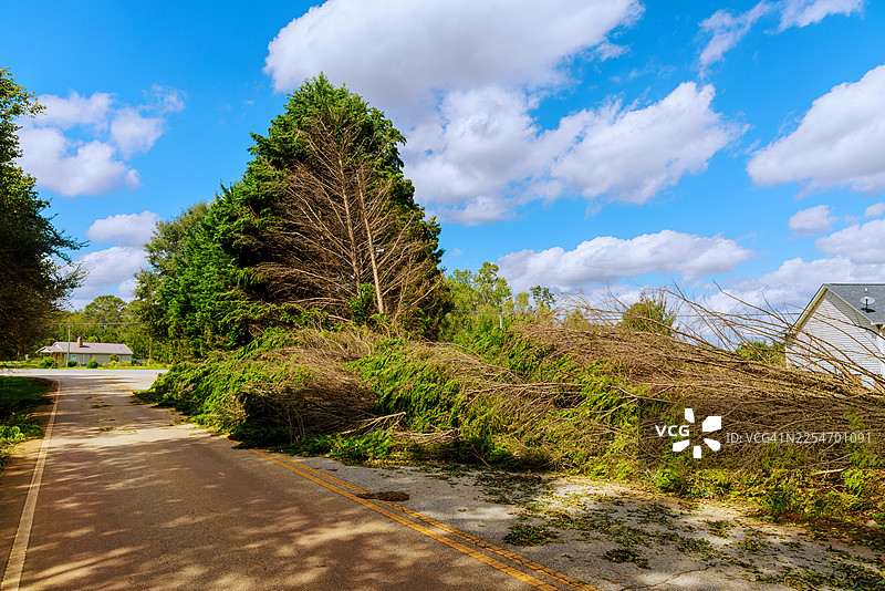 风暴过后，倒下的树木和碎片阻塞了乡村道路图片素材