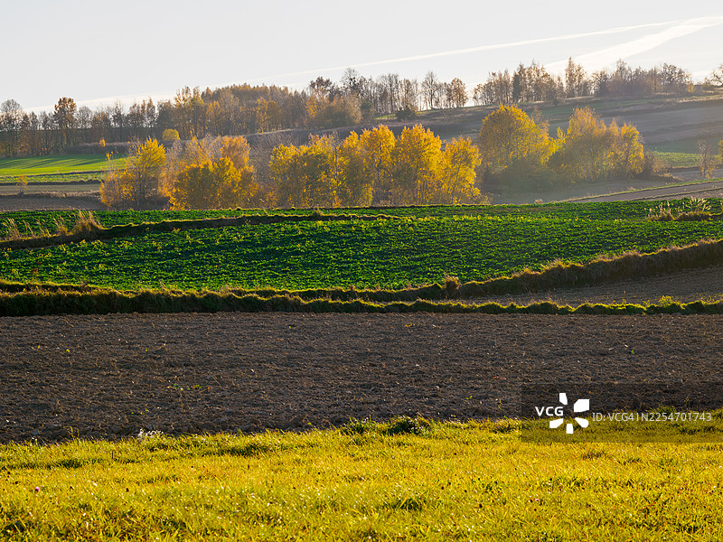 波兰罗兹托切地区，色彩斑斓的树木和农田构成充满活力的秋日景观，天空明媚图片素材