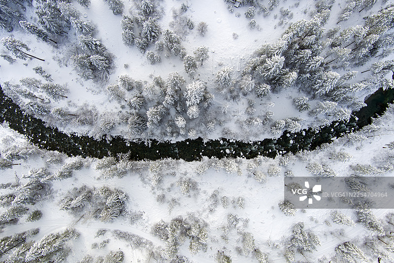 航拍冬季森林中覆盖着雪的松树，以及一条蜿蜒的河流图片素材