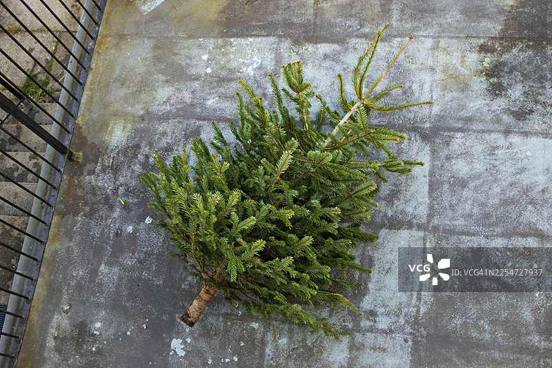 准备丢弃的圣诞树放在房屋的平台上图片素材