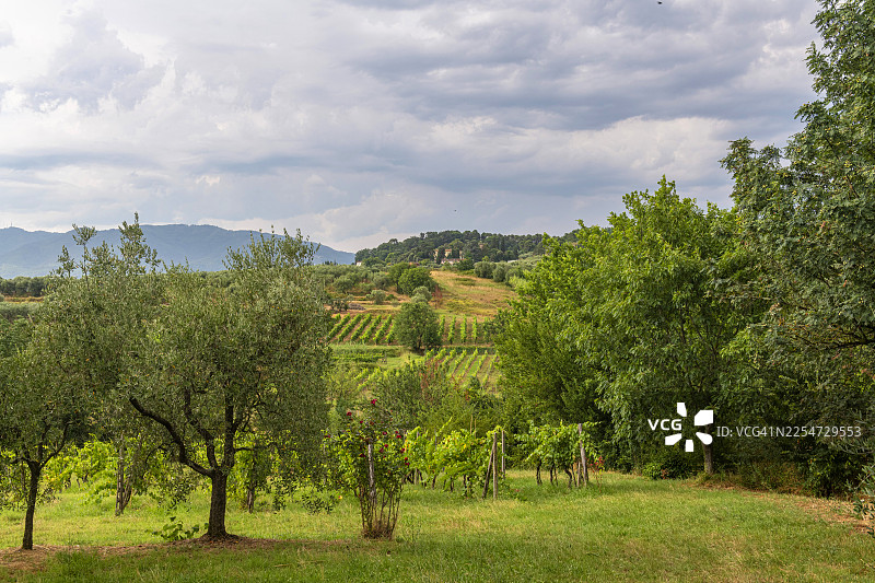 托斯卡纳，蒙特卡洛迪卢卡周边的起伏山丘景观图片素材