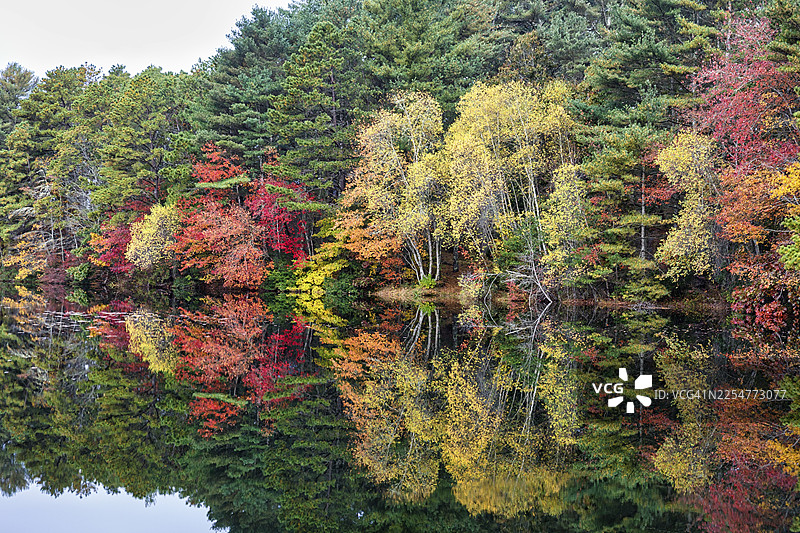 秋叶林，印第安夏日，水面倒影，马萨诸塞州，新英格兰，美国图片素材