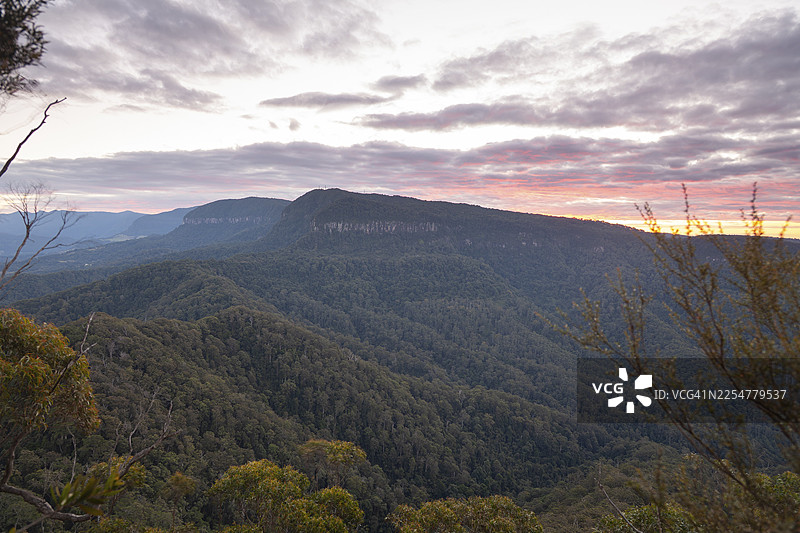 澳大利亚昆士兰州,日落的色彩照亮了广阔的冈瓦纳亚热带雨林上空,从库加尔山顶远眺拉明顿国家公园和库加尔山,视野辽阔自然。图片素材