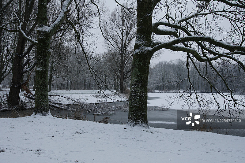 阿姆斯特丹冬日雪景图片素材