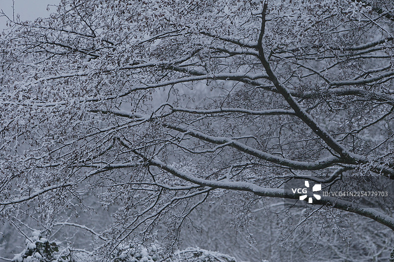 阿姆斯特丹冬季降雪图片素材