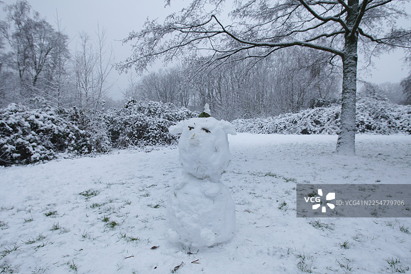 荷兰阿姆斯特丹的冬季降雪图片素材