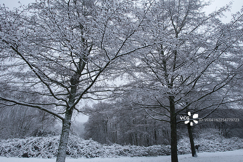 阿姆斯特丹冬季降雪图片素材