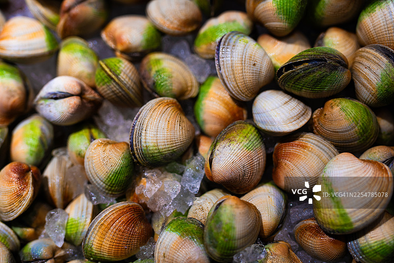 海鲜市场展示的冰鲜蛤蜊图片素材