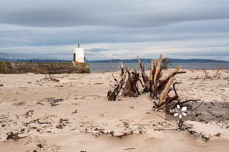 海滩上的漂流物-奈恩图片素材