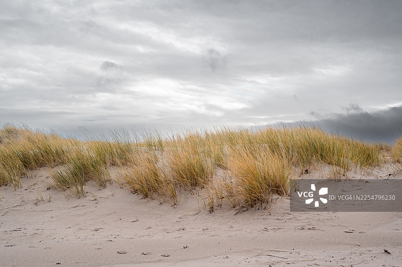 沙丘与海滨草-奈恩图片素材