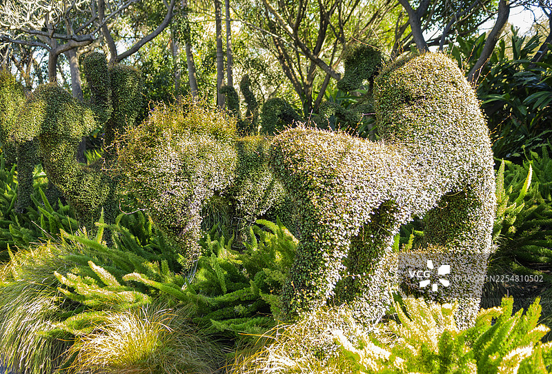 澳大利亚维多利亚州墨尔本皇家植物园伊恩·波特基金会儿童花园里的动物造型树图片素材