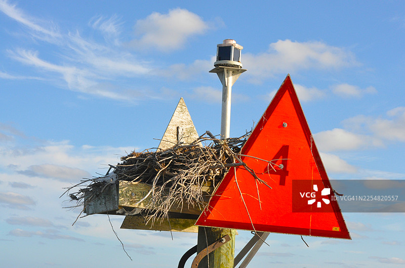 鱼鹰巢图片素材