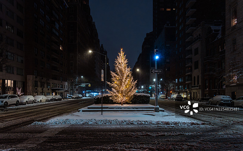 雪中的纽约，灯火辉煌的树图片素材