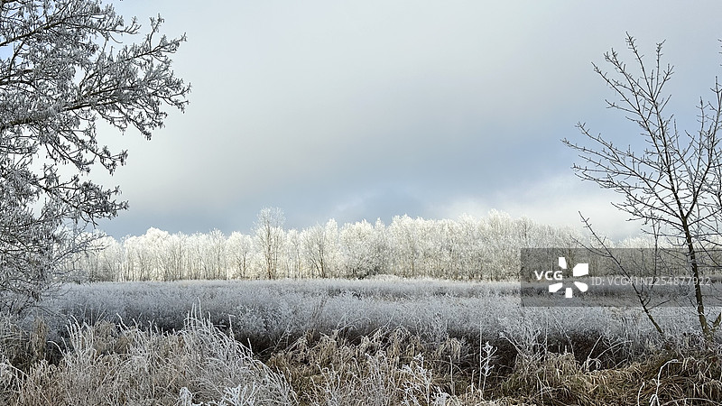 夏朗德被霜覆盖的风景。图片素材