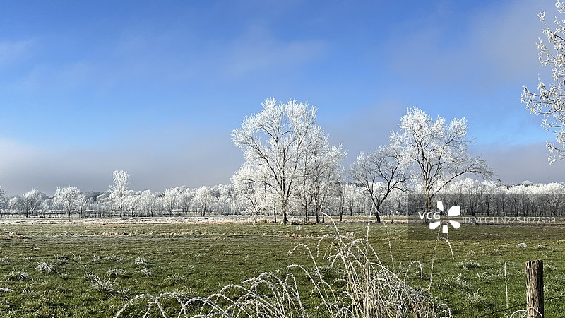 夏朗德地区被霜覆盖的风景。图片素材