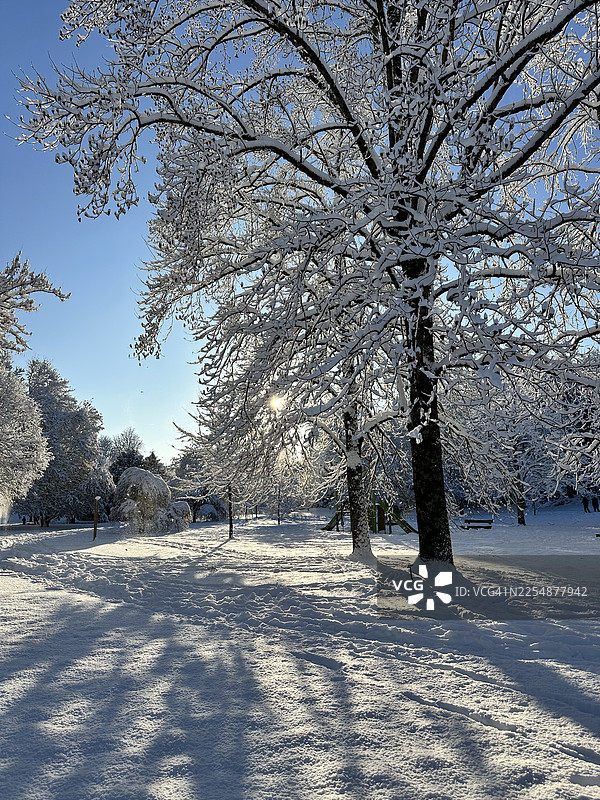 雪覆盖的夏朗德风景。图片素材