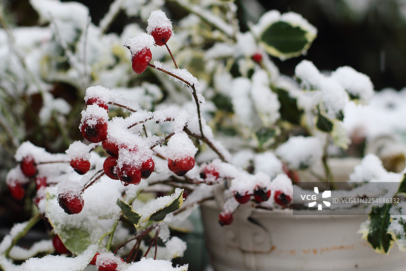 雪景装饰图片素材