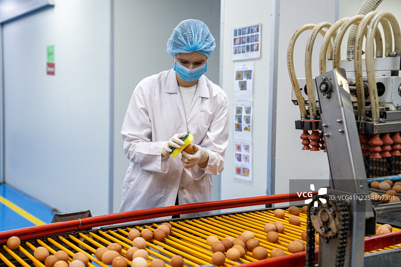 工厂里，一名员工正在传送带上检查鸡蛋图片素材
