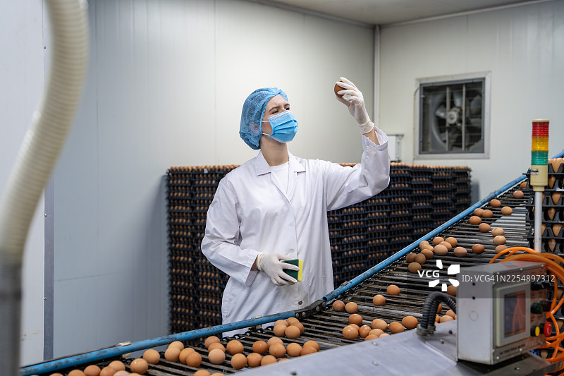 食品工厂的传送带上，工人正在检查鸡蛋图片素材