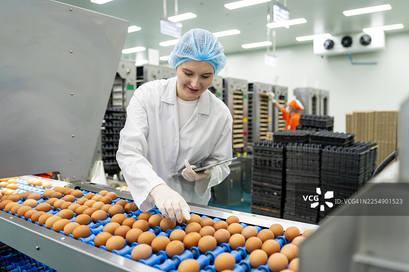食品工厂传送带上检查鸡蛋的工人图片素材