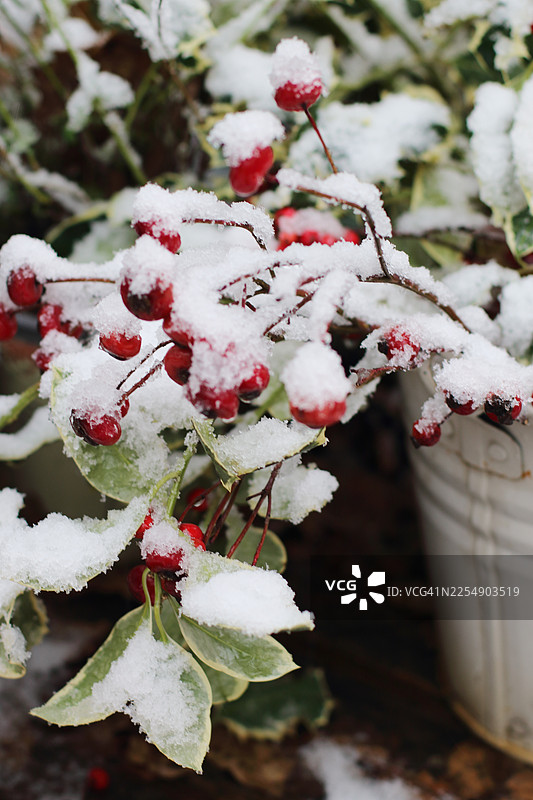 雪景冬日装饰图片素材