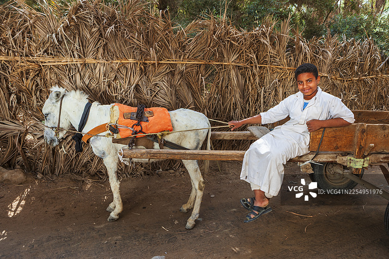年轻的马车夫和驴——埃及锡瓦图片素材