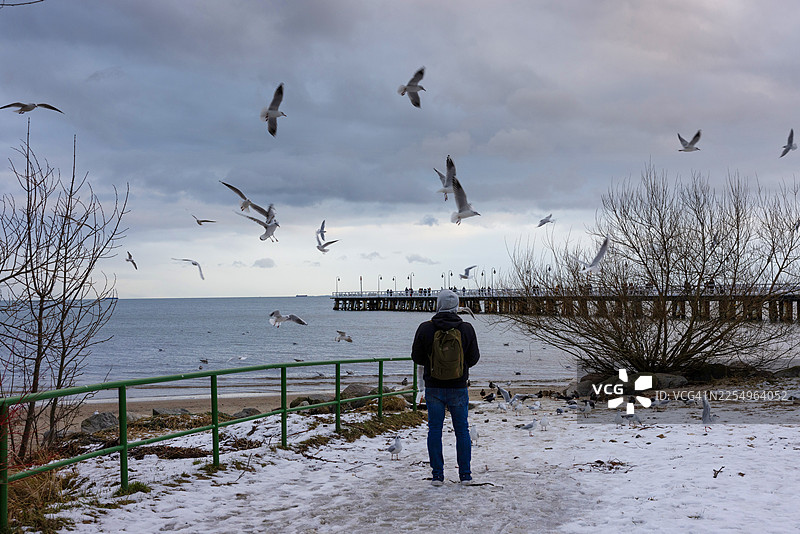 一名年轻男子在波兰格丁尼亚奥尔沃沃的波罗的海附近，海鸥在他周围飞翔。图片素材