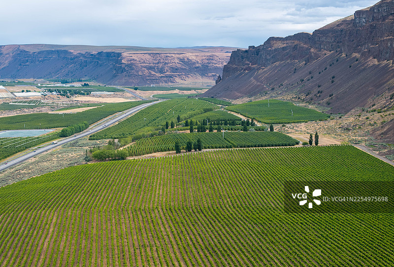 哥伦比亚河畔温纳奇郁郁葱葱果园上空的公路航拍景象图片素材