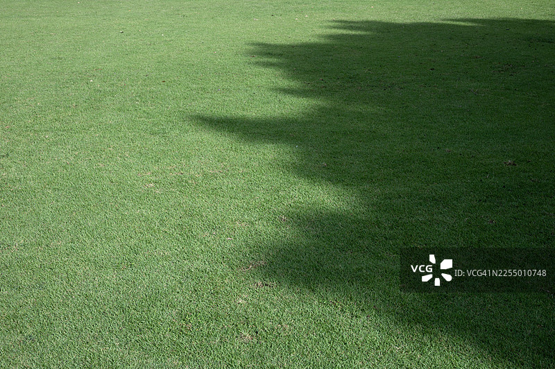 草地上的阴影，特写，全帧画面图片素材