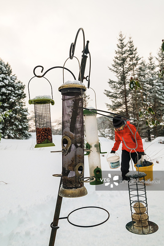 一位女士在冬天给她的喂鸟器添食图片素材