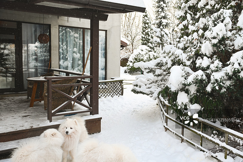 冬日花园图片素材