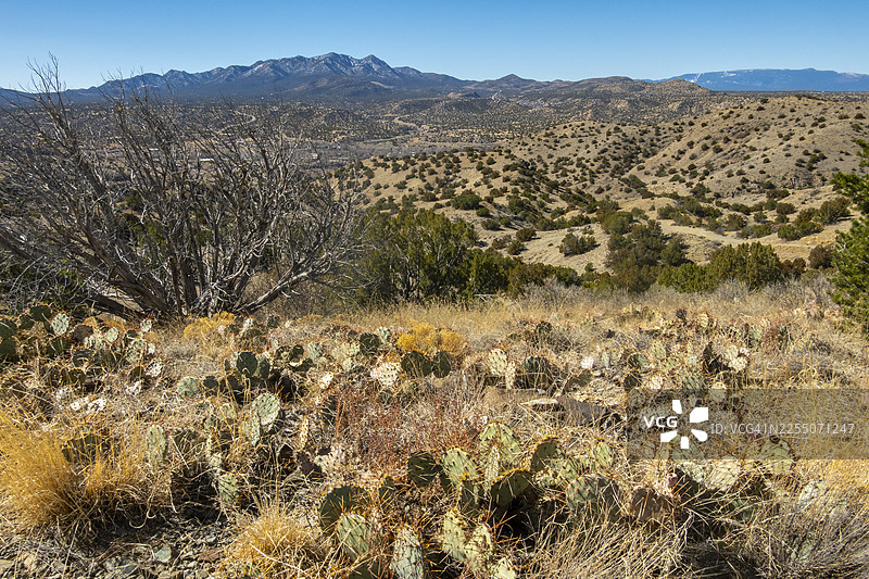 塞里略斯山州立公园的山景图片素材
