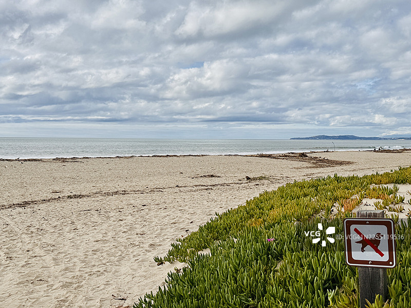 加州海滩沿海沙丘附近的禁止携带宠物狗入内的标志图片素材