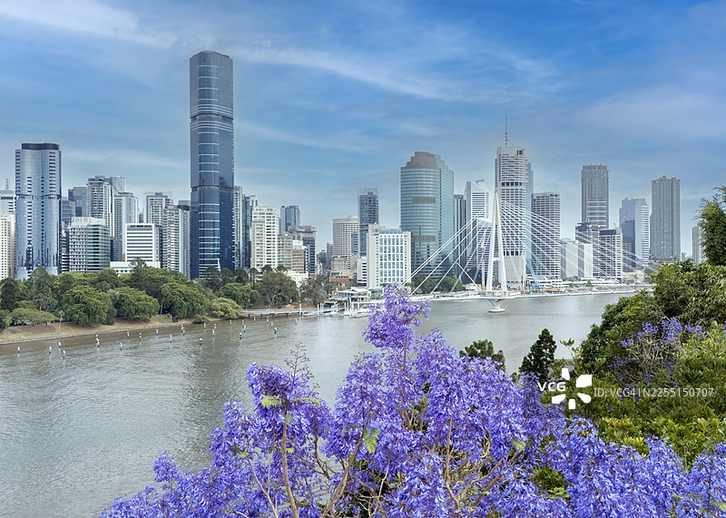 俯瞰澳大利亚布里斯班市，城市天际线和河流，伴有蓝花楹和建筑图片素材