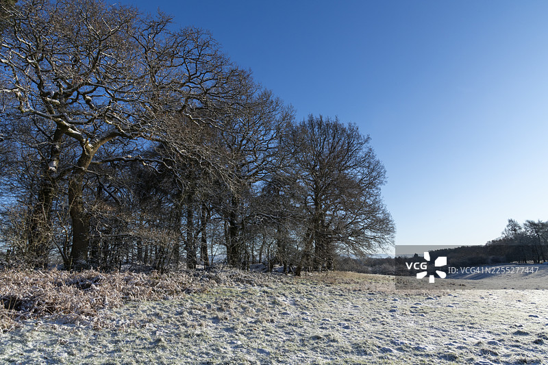 雪日冬日早晨的柴郡乡村图片素材