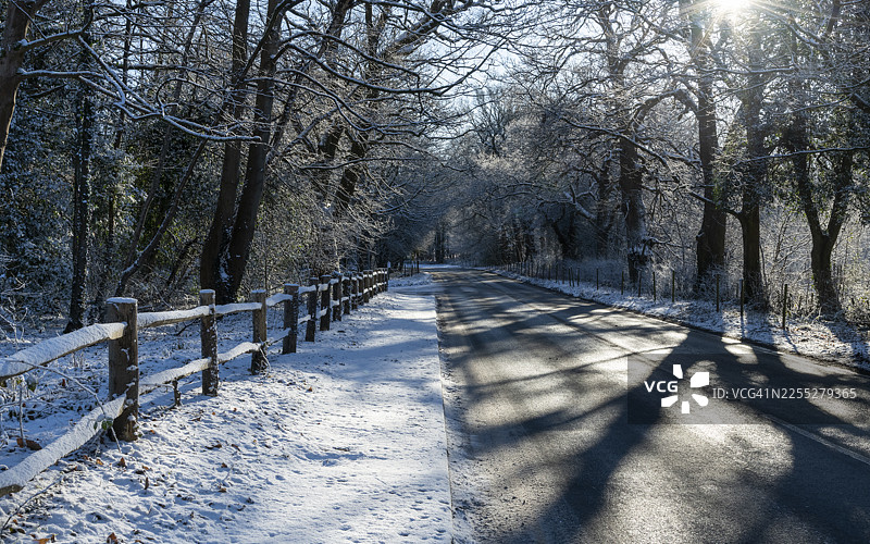 雪后冬日清晨，穿过林地的乡村小路图片素材