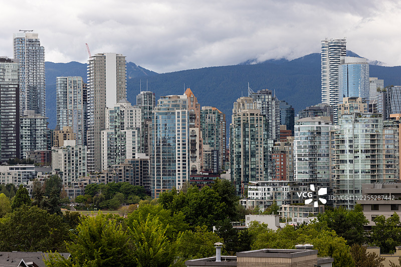 温哥华市天际线，背景为森林覆盖的山丘图片素材