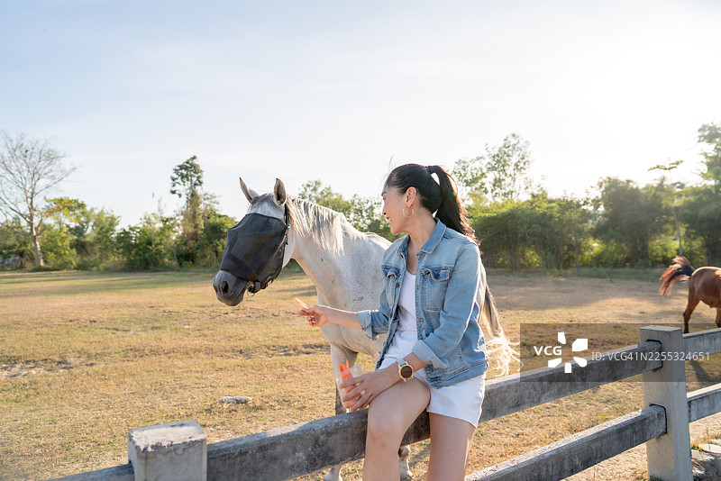 日落时分，一位快乐的亚洲女性坐在农场栅栏上，喂一根胡萝卜给一匹白马。图片素材