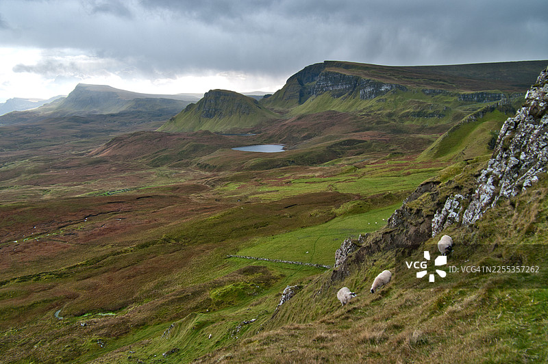 奎拉英图片素材