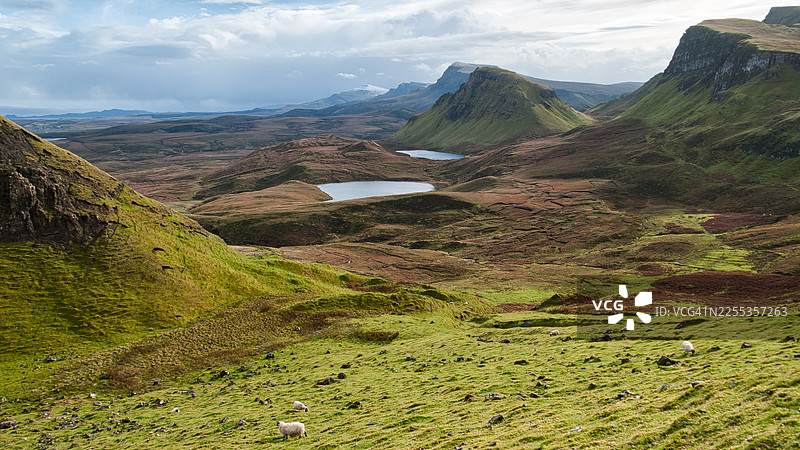 奎拉英图片素材