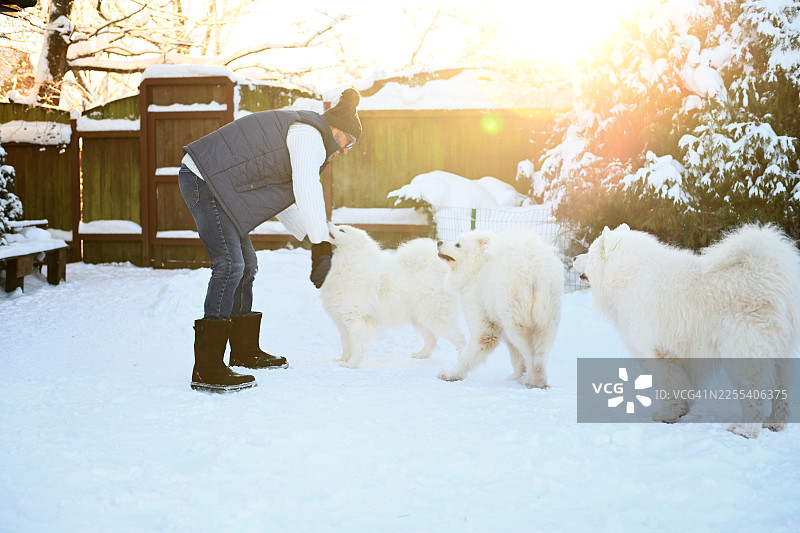 穿着冬装的成年男子与萨摩耶犬在冬季的自然环境中图片素材