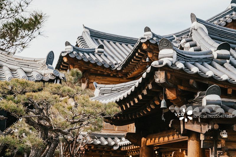 韩国传统韩屋屋顶、木制飞檐和松树图片素材